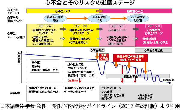 心房細動の病態2