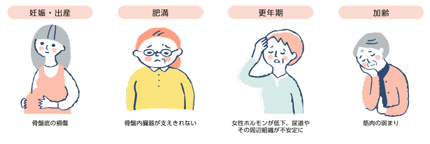 なぜ骨盤の支持組織が緩むの?