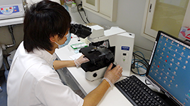 臨床検査部 臨床検査室