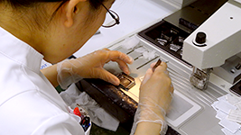 臨床検査部 臨床検査室