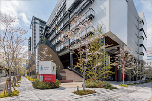 1年目のさくら4