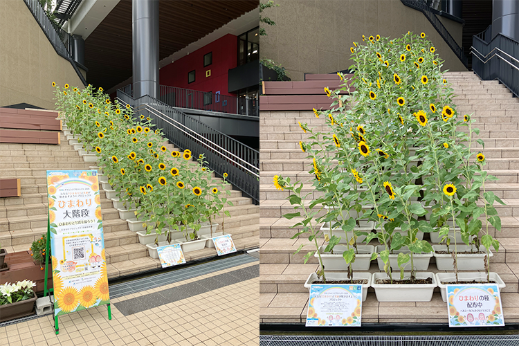 2025年9月5日 状況