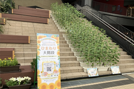 植樹式および石碑の除幕式
