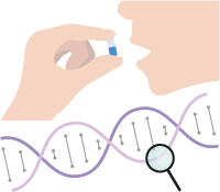 薬剤反応性の体質を調べる検査です