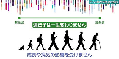 検査の流れ（動画）