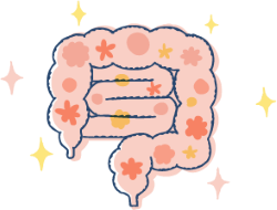 腸活について