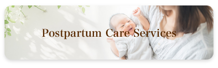 Postpartum Care Services